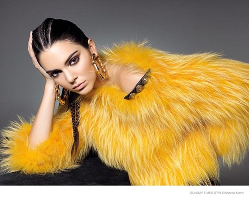 Kendall Jenner Cornrows Appropriation